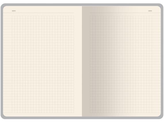 Бизнес тетрадь А5 «Pragmatic»