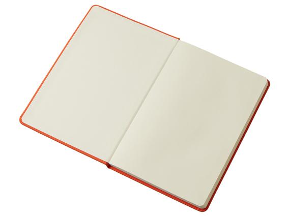 Блокнот в твердой обложке A5 «Виспи» в клетку